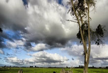 瑞典对阵斯洛伐克的最终比分是多少？比赛中有哪些关键亮点？