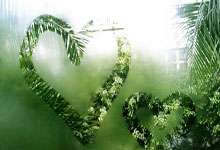 曼联对阵水晶宫，这场英超对决的比分会如何？