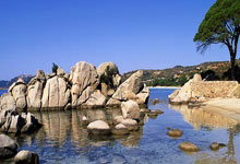 皇家社会对阵塞维利亚最终比分会是多少？深度剖析两队走势与潜在赛果